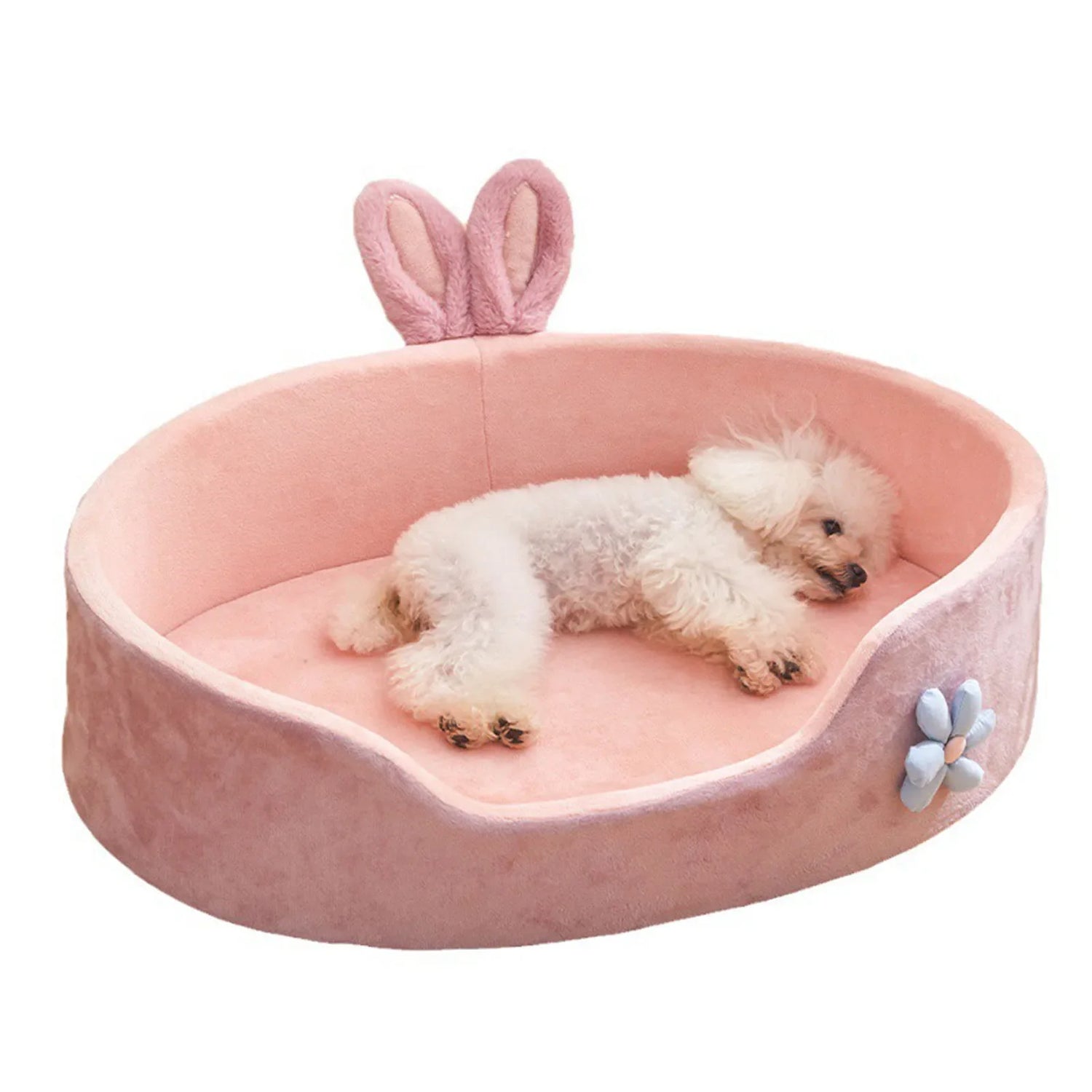 Pet Housing & Bedding