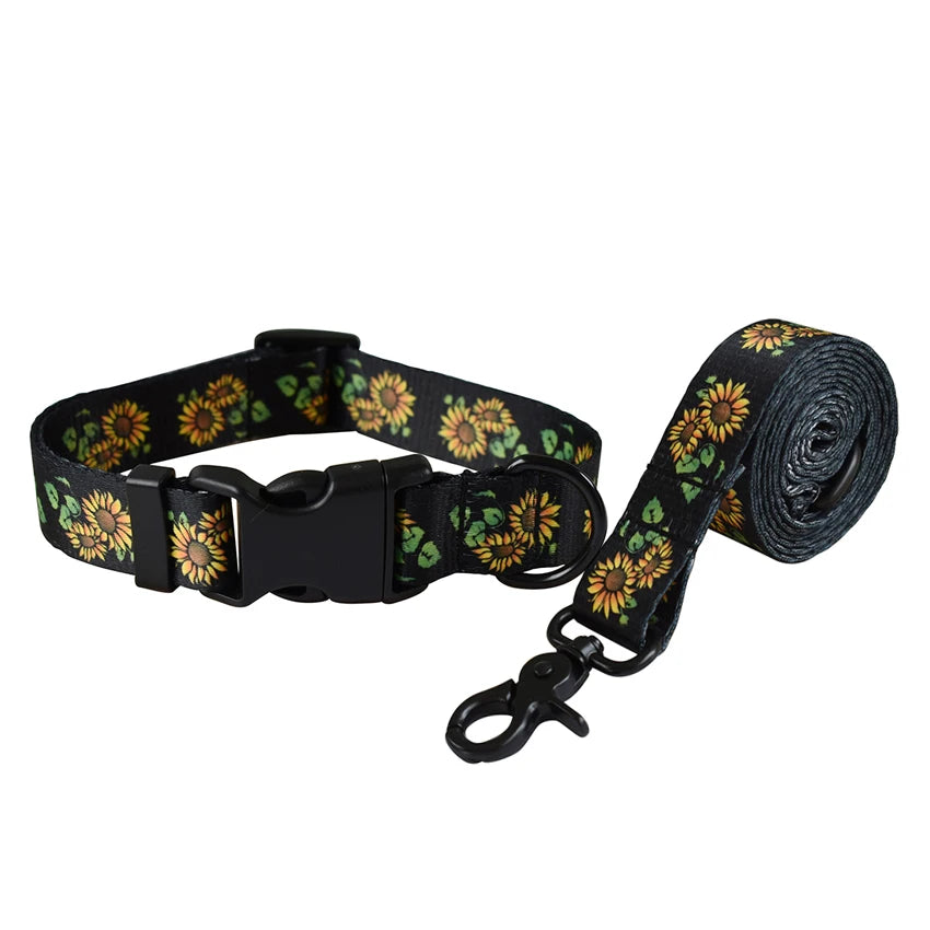 Dog Collar & Leash Set for Small & Medium Dogs