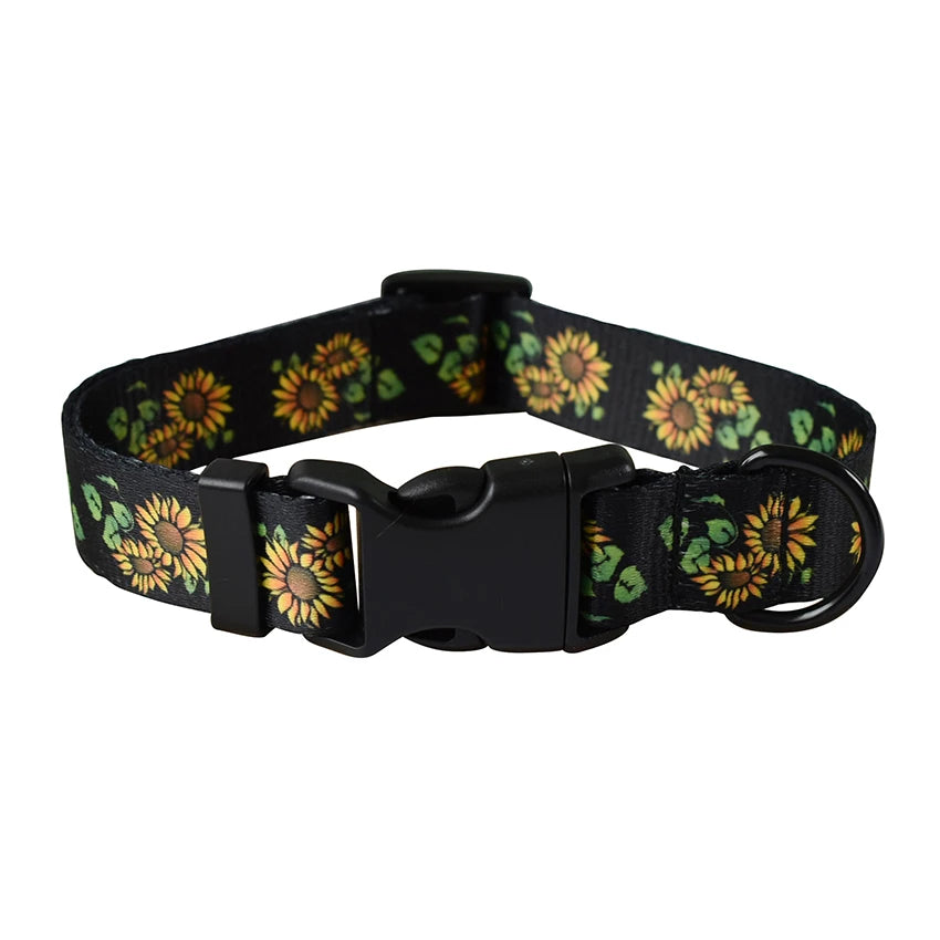 Dog Collar & Leash Set for Small & Medium Dogs