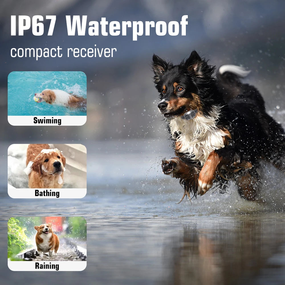 Rechargeable Waterproof Dog Training Collar with Remote for 3 Dogs