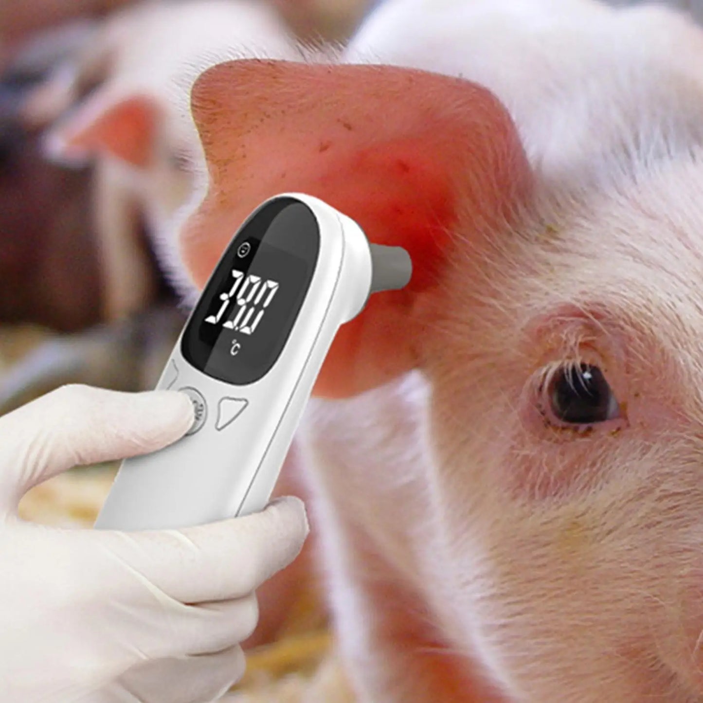 Digital Waterproof Pet Thermometer for Cats & Dogs
