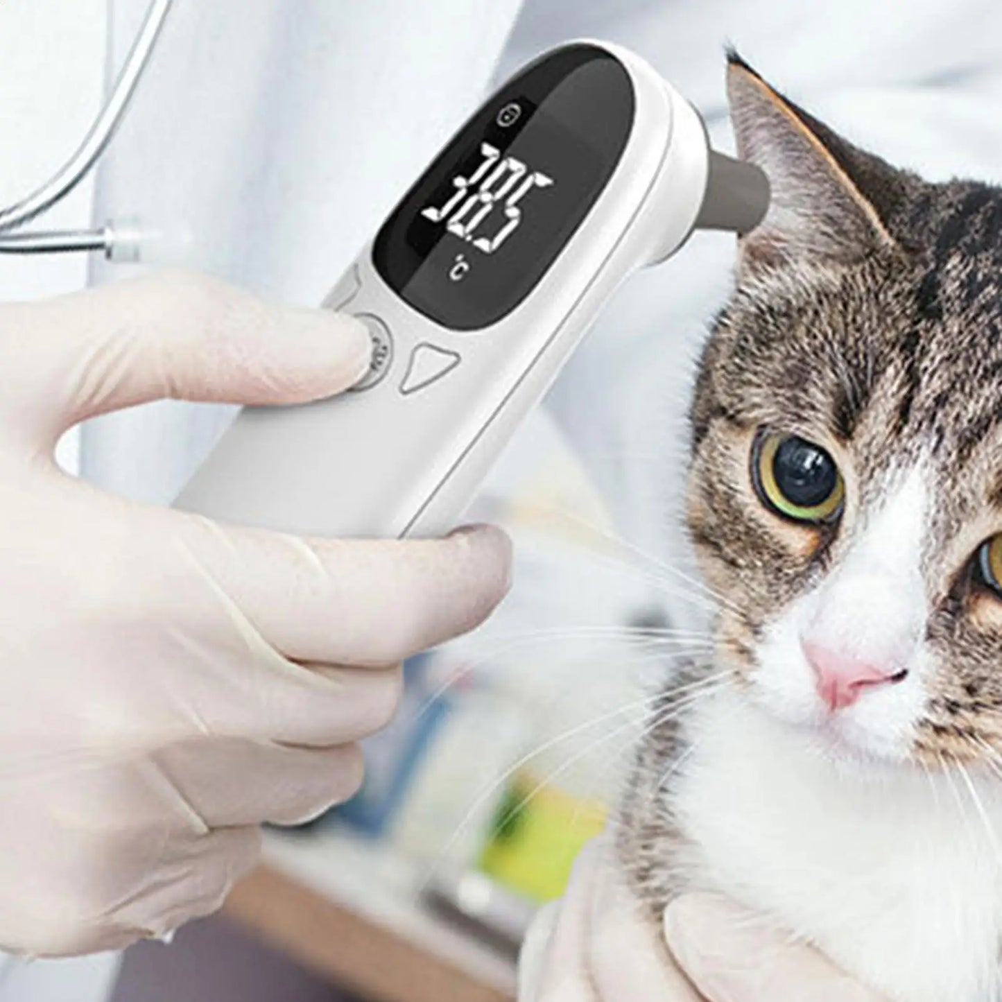 Digital Waterproof Pet Thermometer for Cats & Dogs