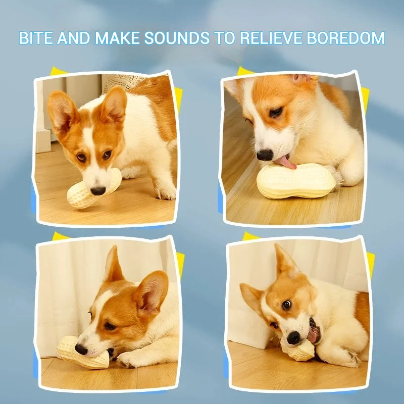 TPR Dog Chew Toy – Peanut Shape, Interactive & Teeth Grinding
