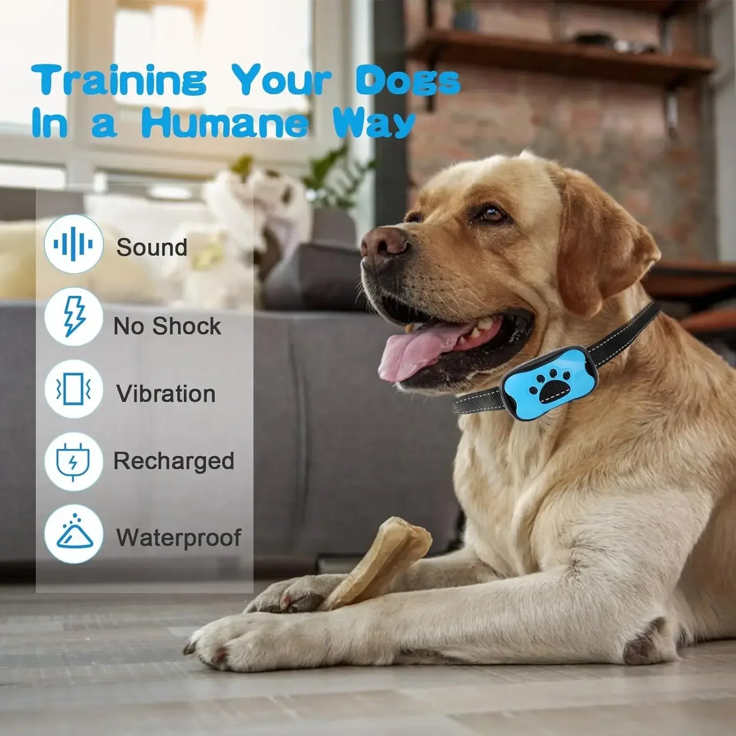 Rechargeable Ultrasonic Anti-Bark Training Collar for Dogs