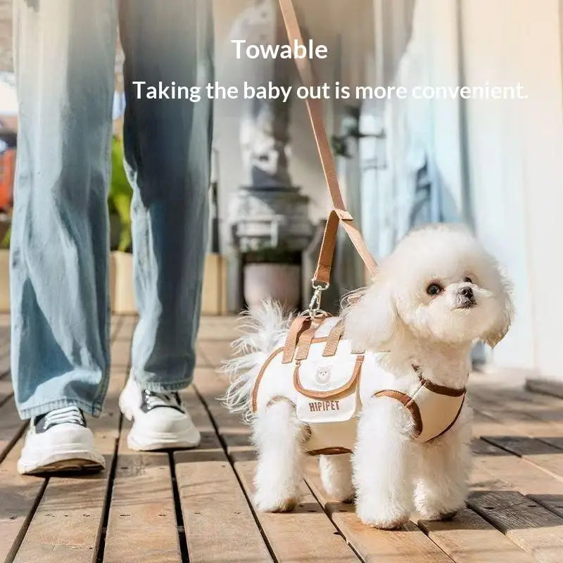 Convertible Pet Travel Carrier Bag with Safety Harness Clip
