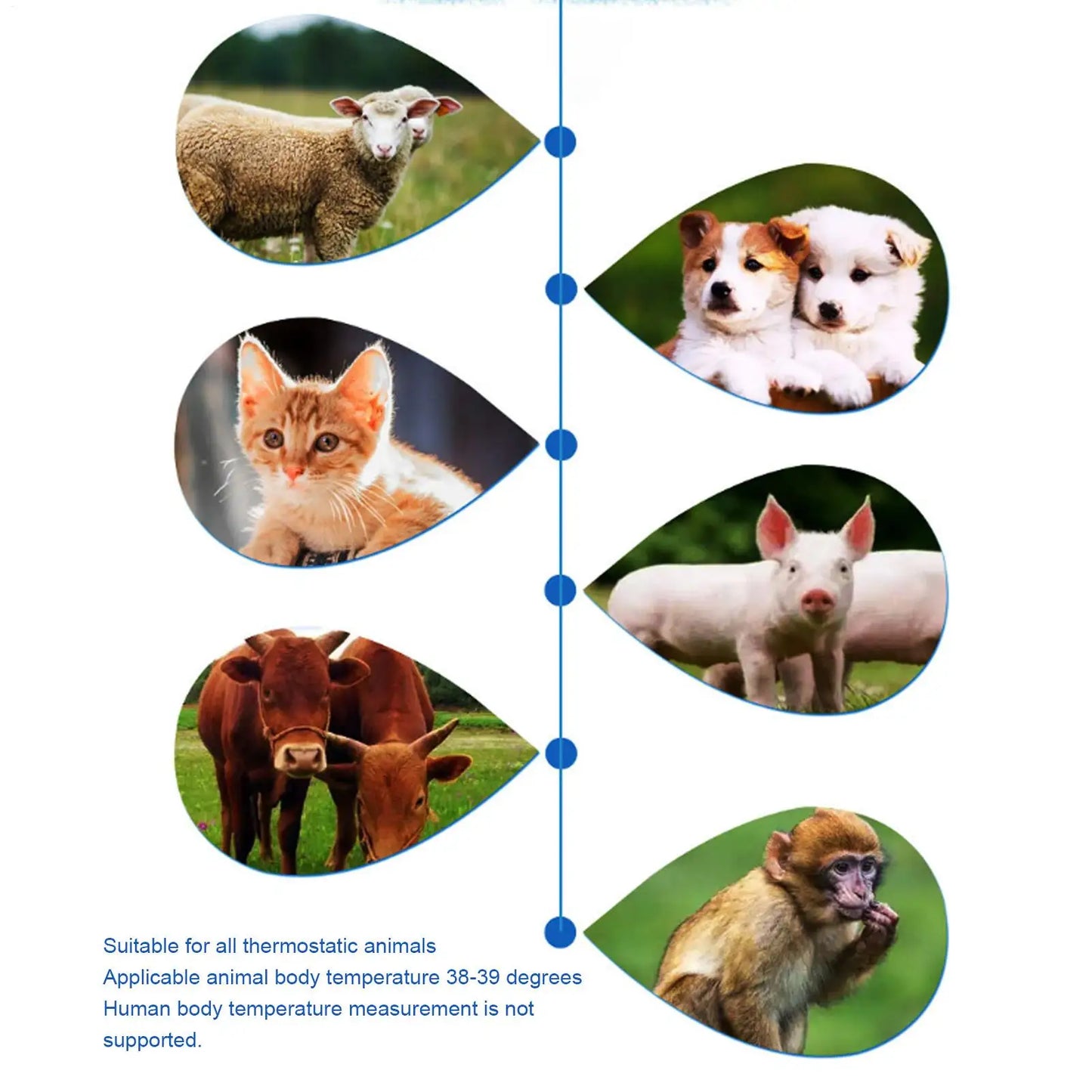 Digital Waterproof Pet Thermometer for Cats & Dogs