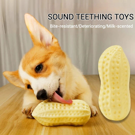 TPR Dog Chew Toy – Peanut Shape, Interactive & Teeth Grinding